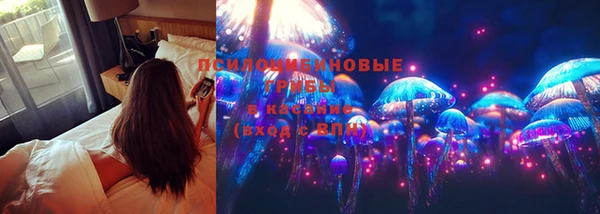 мяу мяу кристалл Няндома