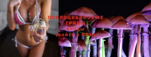 мяу мяу кристалл Няндома