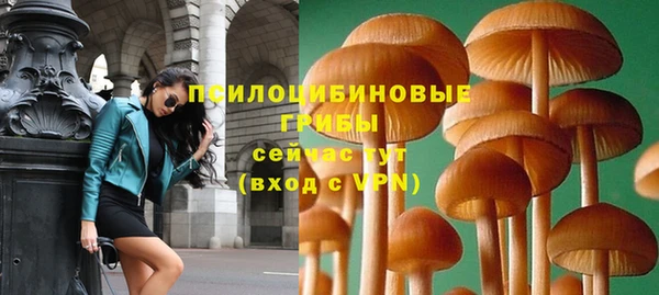 стаф Нягань