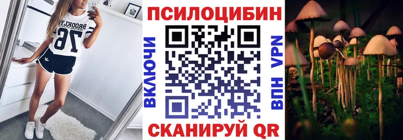 Псилоцибиновые грибы ЛСД  магазин  наркотиков  Сосновка 